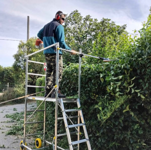 Photo de galerie - Taille avec échafaudage, plus taille perche