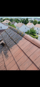 Photo de galerie - Nettoyage toitures 
