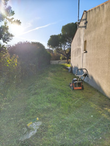 Photo de galerie - Tonte pelouse 