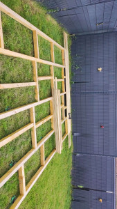 Photo de galerie - Terrasse en bois 