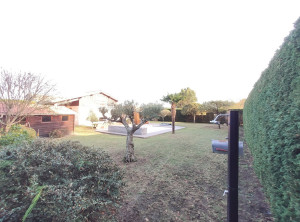 Photo de galerie - Entretien jardin