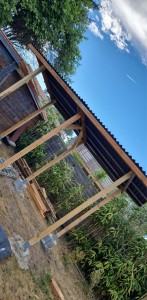 Photo de galerie - Charpente