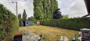 Photo de galerie - Remise en état d'un jardin 
tonte/ taille/ débarras/ nettoyage terrasse 