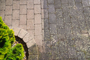 Photo de galerie - Nettoyage terrasse extérieur 