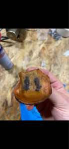 Photo de galerie - Réparation vélo - moto