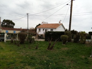 Photo de galerie - Après 

