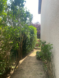 Photo de galerie - Taille de haies et d'arbustes