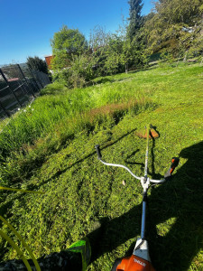 Photo de galerie - Débroussaillage de se  terrain 