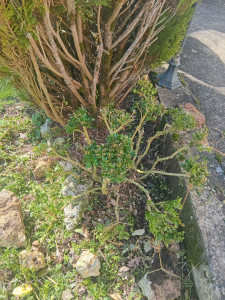 Photo de galerie - Après 