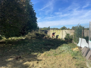 Photo de galerie - Tonte de pelouse - Débroussaillage