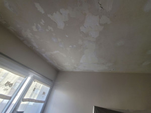 Photo de galerie - Plafond avant 