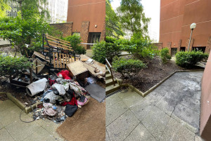 Photo de galerie - Avant après