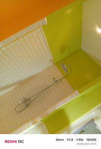 Photo de galerie - Douche salle de bain vert  pistache 