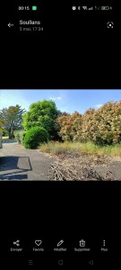 Photo de galerie - Supression d'une haie bocagères 