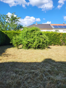 Photo de galerie - Et voilà la suite