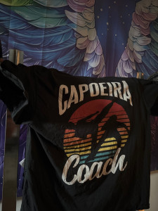 Photo de galerie - Capoeira danse brésilienne 