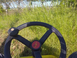 Photo de galerie - L'herbe est bien haute 
c'était avant que je passe le tracteur 