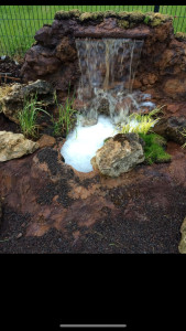 Photo de galerie - Paysagiste - Aménagement du jardin