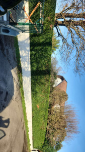 Photo de galerie - Haie de thuyas 