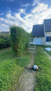 Photo de galerie - Début de l’ouvrage avec 3 haie de même hauteur 