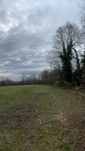 Photo de galerie - élagage haie de champs vue de ciel 