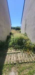 Photo de galerie - Tonte de pelouse - Débroussaillage