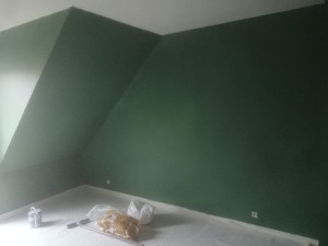 Photo de galerie - Rénovation d'une pièce en peinture après pose de toile de rénovation