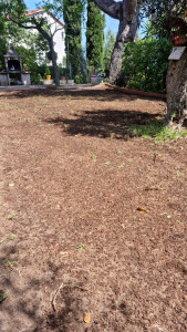 Photo de galerie - Paysagiste - Aménagement du jardin