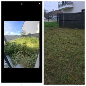 Photo de galerie - Debroussaillage jardin en friche 