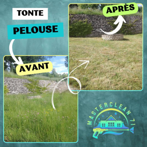 Photo de galerie - AVANT après d'une tonte de pelouse 