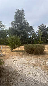 Photo de galerie - Remise en état