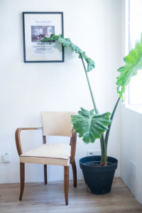 Photo de galerie - La cuisine 