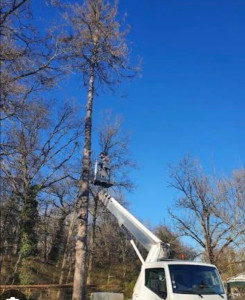Photo de galerie - Travaux effectués avec nacelle