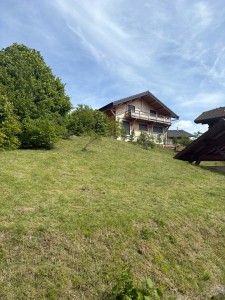 Photo de galerie - Débroussaillage d’un jardin
