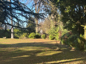 Photo de galerie - Tonte & Débroussaillage 