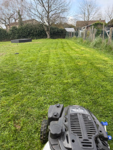 Photo de galerie - Tonte 