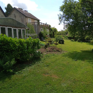 Photo de galerie - Tonte de pelouse - Débroussaillage