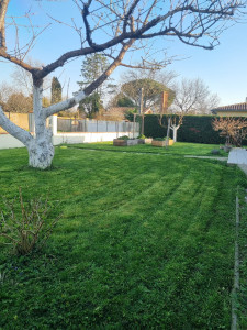 Photo de galerie - Premiere tonte de l'année 