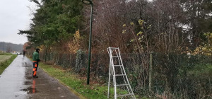 Photo de galerie - Taille