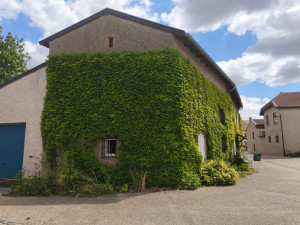Photo de galerie - Suite nettoyage vigne vierge sur façade 