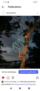 Photo de galerie - L'arbre 