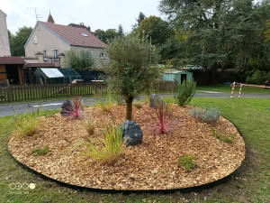 Photo de galerie - Création de massif ( plantations, bordures et copeaux de bois)