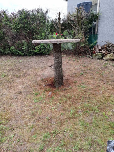 Photo de galerie - Fabrication table haute après abattage d'un arbre 