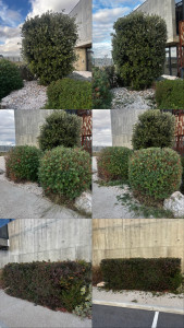 Photo de galerie - Paysagiste - Aménagement du jardin