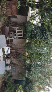 Photo de galerie - Paysagiste - Aménagement du jardin