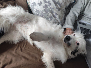 Photo de galerie - Prendre soin de la petite Lissie