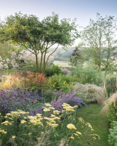 Photo de galerie - Massifs