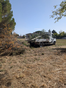 Photo de galerie - Évacuation déchets - Gravats
