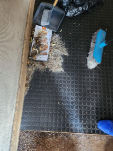 Photo de galerie - Ménage 