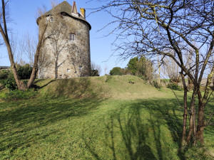 Photo de galerie - Tonte de pelouse - Débroussaillage